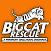 Big Cat Rescue logo